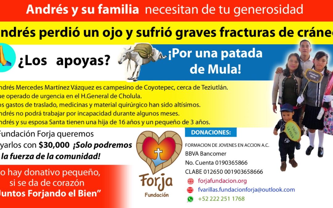 Caso Andrés y Familia. ¿Cómo vamos? Les informamos 👇