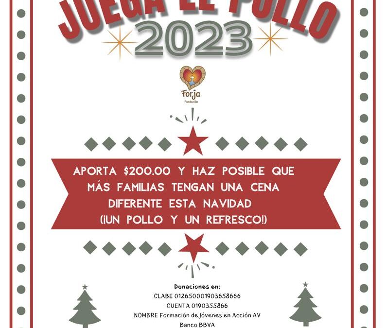 ¡Ya llegó!, ya está aquí nuestro pollo navideño 🐣🐣 y quiere jugar.